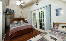 Cozy Bear 856